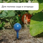 Автополив для комнатных цветов, 380 мл, h=16 см, пластик, МИКС - Фото 4