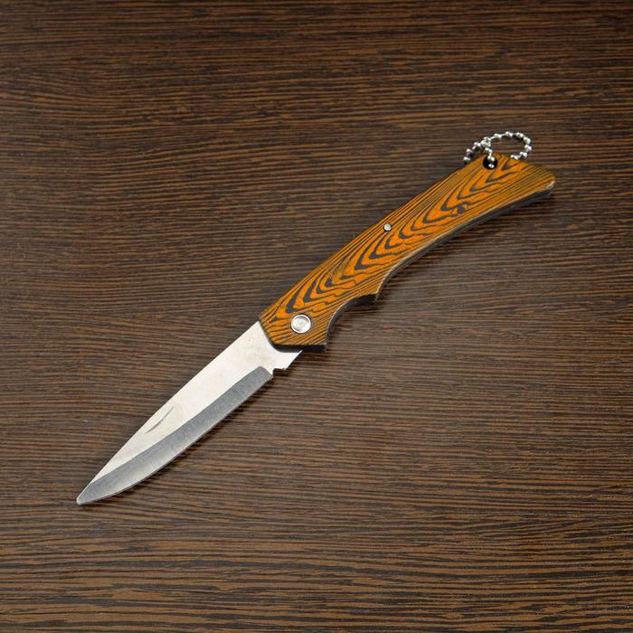 Нож складной "Раптор" 16,3см, клинок 69мм/1,2мм - фото 1918619291