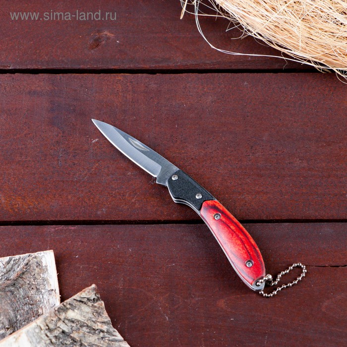 Нож складной с карабином, рукоять дерево - Фото 1
