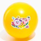 Мяч детский Смешарики «Нюша и Бараш», 16 см, 50 г, МИКС - фото 108343532
