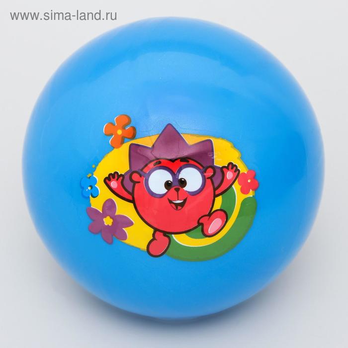 Мяч детский СМЕШАРИКИ "Ежик" 22 см, 60 гр, цвета синий - Фото 1