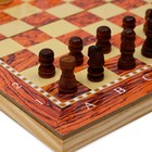 Шахматы, шашки, нарды, настольные игры, набор 3 в 1, 24 х 24 см - Фото 3