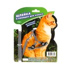 Комплект «Зооник» шлейка с поводком для кошек, 1.5 м на блистере, стропа 10 мм, микс - Фото 2