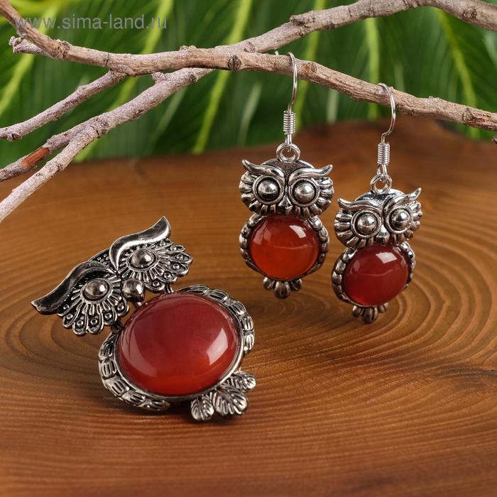 Гарнитур 2 предмета: серьги, подвеска сова «Сердолик» - Фото 1