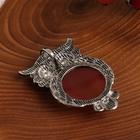 Гарнитур 2 предмета: серьги, подвеска сова «Сердолик» - Фото 2