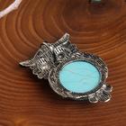 Гарнитур 2 предмета: серьги, подвеска сова «Бирюза» - Фото 2