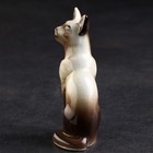 Статуэтка фарфоровая «Кошка Тайка сиамская», 10 см - Фото 2