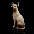 Статуэтка фарфоровая «Кошка Тайка сиамская», 10 см - Фото 6
