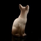 Статуэтка фарфоровая «Кошка Тайка сиамская», 10 см - Фото 8