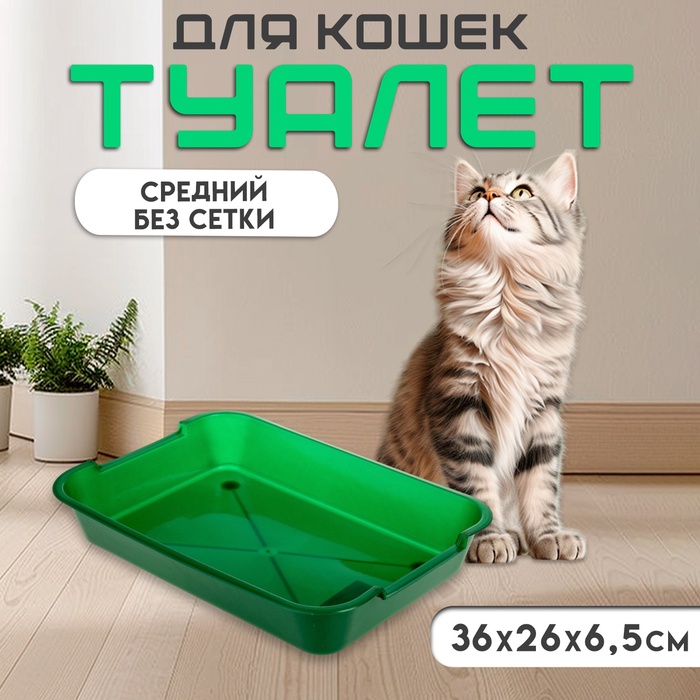 

Туалет средний без сетки 36 х 26 х 6,5 см, зеленый