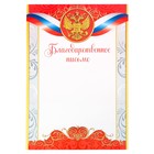 Благодарственное письмо, РФ символика, красное, 21х29,7 см - фото 318064519