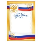 Грамота, РФ символика, золотая, 157 гр/кв.м - фото 318064525