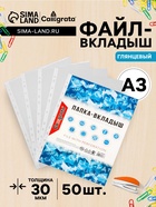 Файл - вкладыш Calligrata, А3, 30 мкм, глянцевый, вертикальный, 50 штук - Фото 1