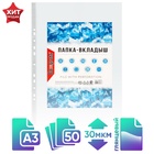 Файл - вкладыш Calligrata, А3, 30 мкм, глянцевый, вертикальный, 50 штук - Фото 3