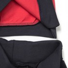 Комплект для мальчика (кофта,брюки), рост 98-104 см, цвет красный М1901-2 - Фото 6