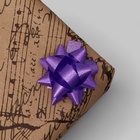 Бант - звезда №3.5, фасовка 8 шт., для упаковки подарков, МИКС - Фото 2