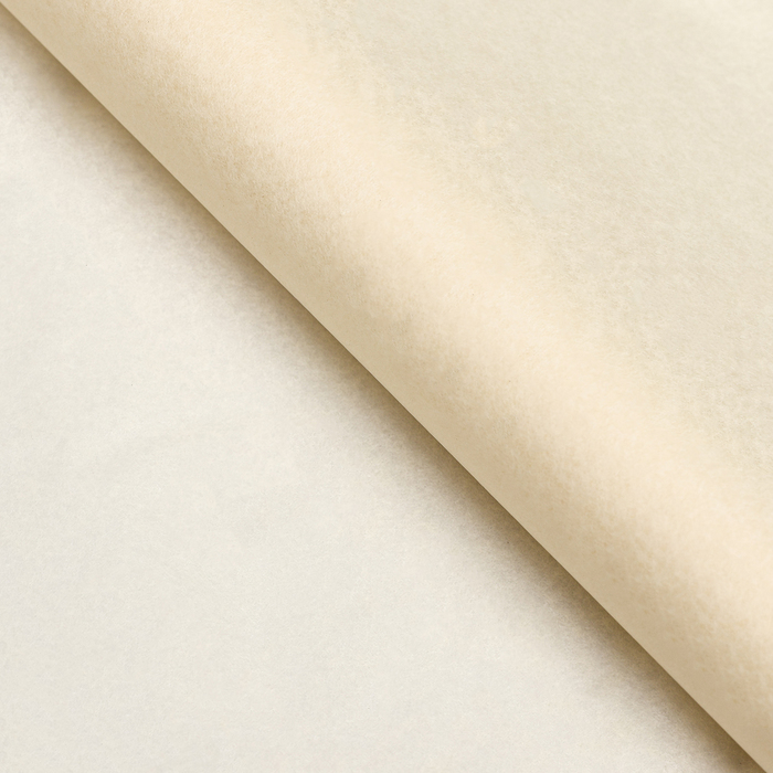 Бумага упаковочная тишью, бежевый, 50×66 см - Фото 1