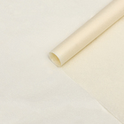 Бумага упаковочная тишью, бежевый, 50 х 66 см - Фото 2
