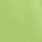 Бумага упаковочная тишью, зеленая, 50 см × 66 см - Фото 2