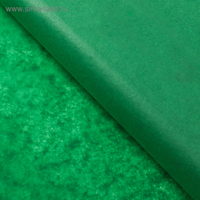 Бумага упаковочная тишью, "Мокрый тропический лес" , 50 см х 66 см - Фото 1