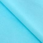 Бумага упаковочная тишью, бирюзовый, 50×66 см - Фото 1