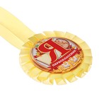 Медаль розетка на ленте на 1 Сентября «Я - первоклассник», d=8 см - Фото 4