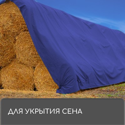 Тент защитный, 5×3 м, плотность 180 г/м², УФ, люверсы шаг 1 м, синий