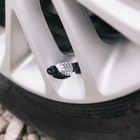 Колпачок на вентиль TORSO граната, хром, набор 4 шт. - Фото 2