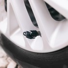 Колпачки на вентиль TORSO граната, чёрные, набор 4 шт. - Фото 2