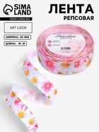 Лента репсовая «Ромашки», 25 мм, 18±1 м, разноцветная - Фото 1