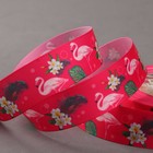 Лента репсовая «Фламинго», 25 мм, 18 ± 1 м, цвет малиновый - Фото 1