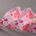 Лента репсовая «Фламинго», 25 мм, 18 ± 1 м, цвет розовый - Фото 1
