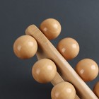 Массажёр «Гусеница», универсальный, 17,5 × 7,5 × 6,5 см, 10 шариков, деревянный - фото 8967106