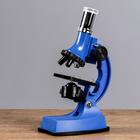 Микроскоп, кратность увеличения 600х, 300х, 100х, с подсветкой, 2АА, синий - фото 8216172