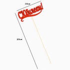 Топпер Ассорти "Цветные", МИКС - Фото 17