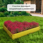 Клумба оцинкованная, 70 × 15 см, жёлтая, «Терция», Greengo - Фото 7