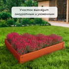 Клумба оцинкованная, 70×15 см, оранжевая, «Терция», Greengo - Фото 7