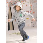 Комплект для мальчика из джемпера и брюк, рост 110 см, цвет серый - Фото 1