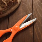 Ножницы кухонные, цвет оранжевый - Фото 3