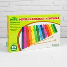 Игрушка музыкальная Ксилофон, 15 тонов 454306 - фото 1082450