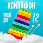 Музыкальная игрушка «Ксилофон», 12 тонов, 2 палочки - Фото 1