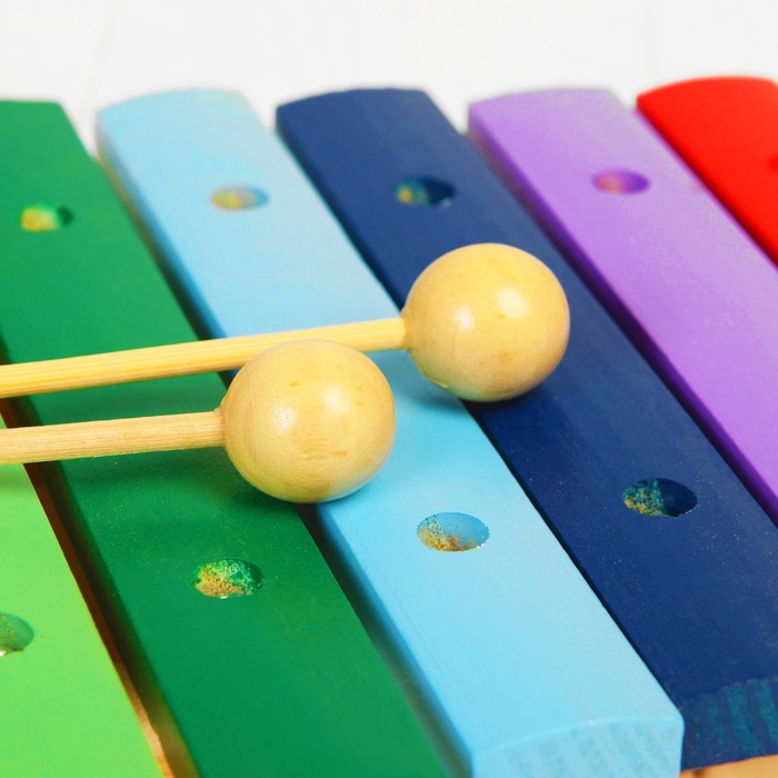 Музыкальная игрушка «Ксилофон», 12 тонов + 2 палочки - фото 1886143930