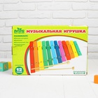 Музыкальная игрушка «Ксилофон», 12 тонов + 2 палочки 454307 - фото 13911323