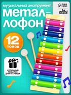 Игрушка музыкальная Металлофон, 12 тонов - Фото 1