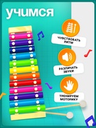 Игрушка музыкальная Металлофон, 12 тонов - Фото 5