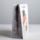 Пакет ламинированный вертикальный «Малыш», MS 18 × 23 × 8 см - Фото 2