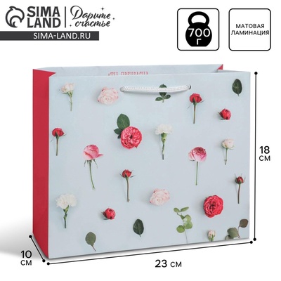 Пакет подарочный ламинированный, упаковка, «Ты прекрасна», MS 18×23×8 см