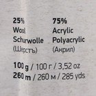 Пряжа "Crazy color" 25% шерсть, 75% акрил 260м/100гр (139 принт) - Фото 3