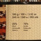 Пряжа "Crazy color" 25% шерсть, 75% акрил 260м/100гр (158 принт) - Фото 3