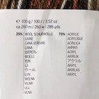 Пряжа "Crazy color" 25% шерсть, 75% акрил 260м/100гр (171 принт) - Фото 4